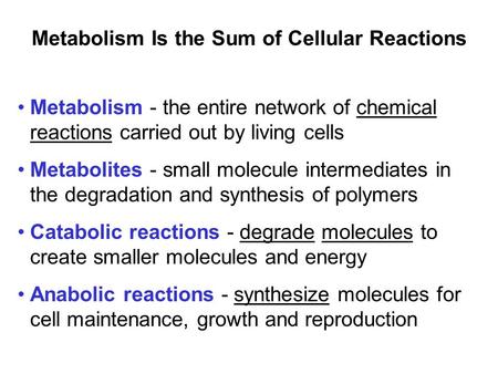 Prentice Hall c2002Chapter 101 Metabolism Is the Sum of Cellular Reactions Metabolism - the entire network of chemical reactions carried out by living.