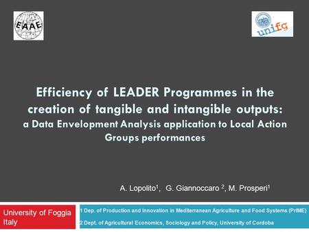 Efficiency of LEADER Programmes in the creation of tangible and intangible outputs: a Data Envelopment Analysis application to Local Action Groups performances.