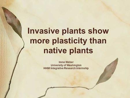 Invasive plants show more plasticity than native plants Irene Weber University of Washington HHMI Integrative Research Internship.