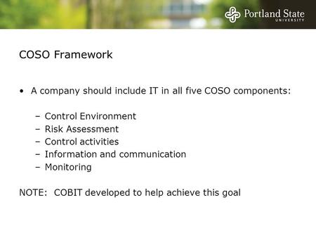 COSO Framework A company should include IT in all five COSO components: –Control Environment –Risk Assessment –Control activities –Information and communication.