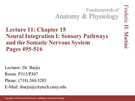 Lecture 11: Chapter 15 Neural Integration I: Sensory Pathways and the Somatic Nervous System Pages 495-516 Lecturer: Dr. Barjis Room: P313/P307 Phone: