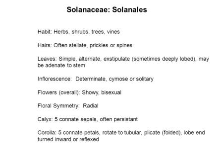Solanaceae: Solanales Habit: Herbs, shrubs, trees, vines Hairs: Often stellate, prickles or spines Leaves: Simple, alternate, exstipulate (sometimes deeply.