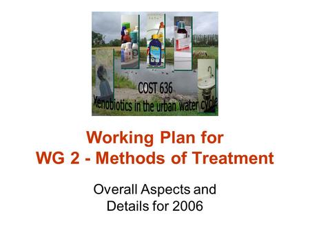 Working Plan for WG 2 - Methods of Treatment Overall Aspects and Details for 2006.