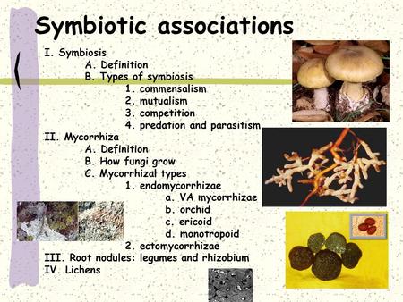 Symbiotic associations I. Symbiosis A. Definition B. Types of symbiosis 1. commensalism 2. mutualism 3. competition 4. predation and parasitism II. Mycorrhiza.