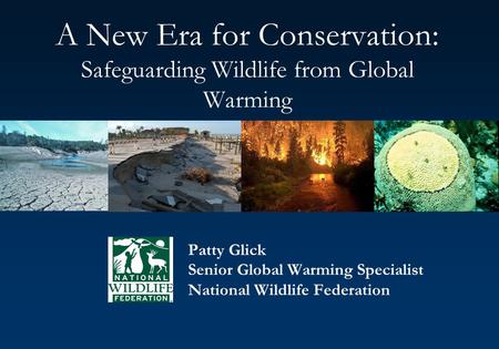 A New Era for Conservation: Safeguarding Wildlife from Global Warming Patty Glick Senior Global Warming Specialist National Wildlife Federation.