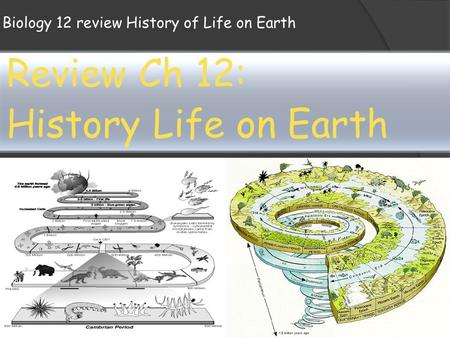 Biology 12 review History of Life on Earth