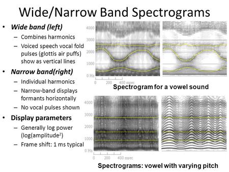 Wide/Narrow Band Spectrograms