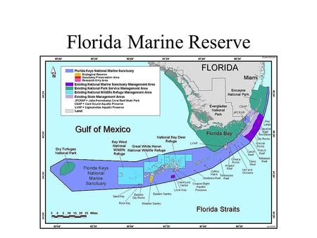 Florida Marine Reserve. Lawton, J.H., et al. (1998) Biodiversity inventories, indicator taxa and effects of habitat modification in tropical forest. Nature,