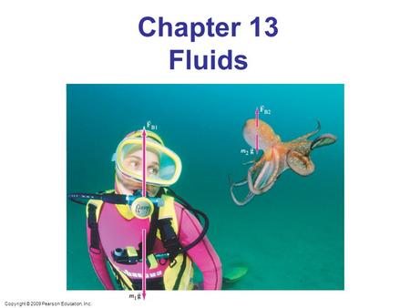 Chapter 13 Fluids Chapter opener. Underwater divers and sea creatures experience a buoyant force (FB) that closely balances their weight mg. The buoyant.