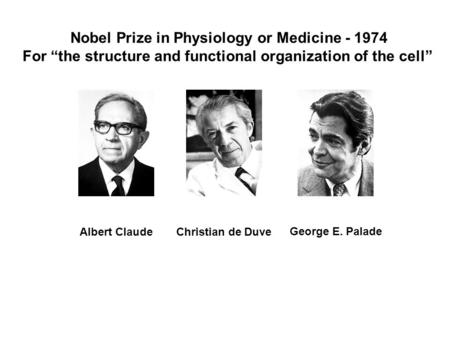 Nobel Prize in Physiology or Medicine - 1974 For “the structure and functional organization of the cell” Christian de Duve George E. Palade Albert Claude.