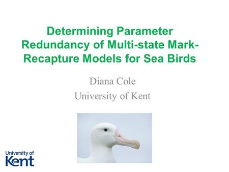 Determining Parameter Redundancy of Multi-state Mark- Recapture Models for Sea Birds Diana Cole University of Kent.