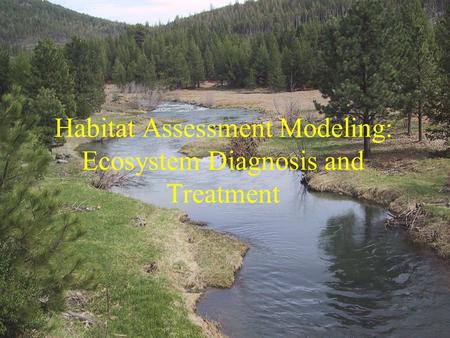 Habitat Assessment Modeling: Ecosystem Diagnosis and Treatment