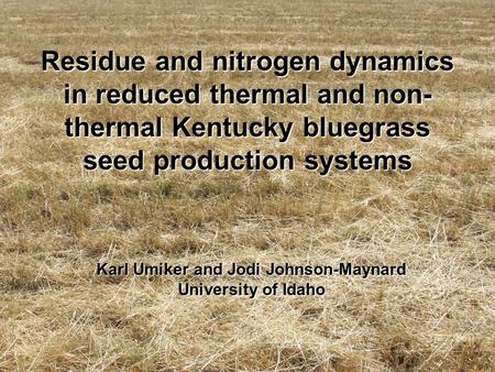 Residue and nitrogen dynamics in reduced thermal and non- thermal Kentucky bluegrass seed production systems Karl Umiker and Jodi Johnson-Maynard University.