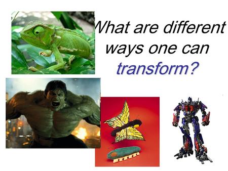 Transform? What are different ways one can transform?