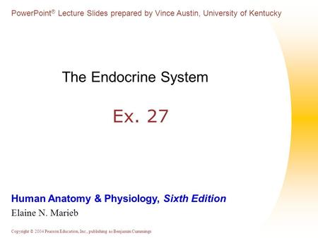 The Endocrine System Ex. 27.