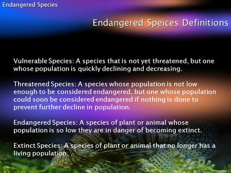 Endangered Species Endangered Speices Definitions Vulnerable Species: A species that is not yet threatened, but one whose population is quickly declining.