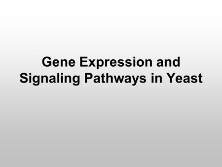 . Gene Expression and Signaling Pathways in Yeast.