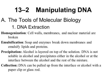 13–2Manipulating DNA A.The Tools of Molecular Biology 1.DNA Extraction Homogenization: Cell walls, membranes, and nuclear material are broken Emulsification: