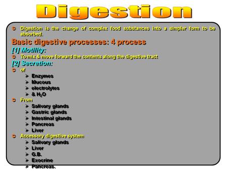 Basic digestive processes: 4 process