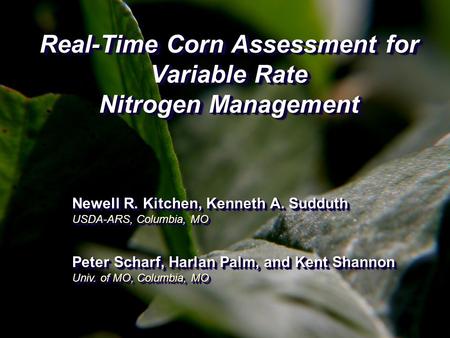 Real-Time Corn Assessment for Variable Rate Nitrogen Management Newell R. Kitchen, Kenneth A. Sudduth USDA-ARS, Columbia, MO Peter Scharf, Harlan Palm,