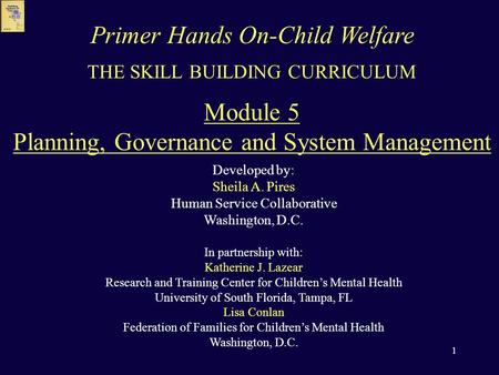 1 THE SKILL BUILDING CURRICULUM Module 5 Planning, Governance and System Management Developed by: Sheila A. Pires Human Service Collaborative Washington,