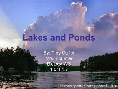 Lakes and Ponds By: Troy Cailler Mrs. Fournier Biology W3 10/19/07.