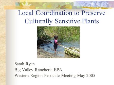 Local Coordination to Preserve Culturally Sensitive Plants Sarah Ryan Big Valley Rancheria EPA Western Region Pesticide Meeting May 2005.
