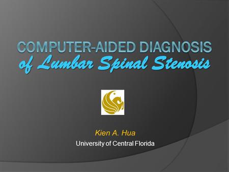 Computer-aided diagnosis of Lumbar Spinal Stenosis