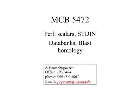 MCB 5472 Perl: scalars, STDIN Databanks, Blast homology J. Peter Gogarten Office: BPB 404 phone: 860 486-4061,