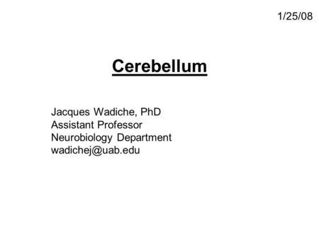 Jacques Wadiche, PhD Assistant Professor Neurobiology Department 1/25/08 Cerebellum.