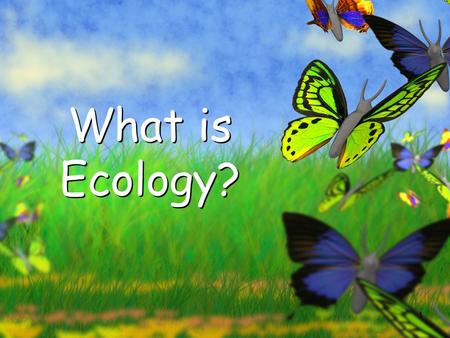 1 What is Ecology?. 2 Organisms and Their Environment.