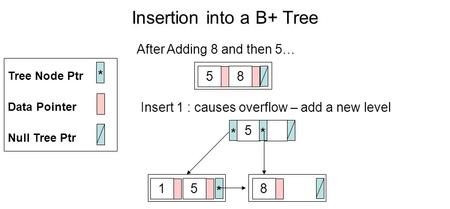 Insertion into a B+ Tree Null Tree Ptr Data Pointer * Tree Node Ptr After Adding 8 and then 5… 85 Insert 1 : causes overflow – add a new level * 5 * 158.