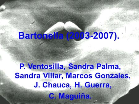 Bartonella (2003-2007). P. Ventosilla, Sandra Palma, Sandra Villar, Marcos Gonzales, J. Chauca, H. Guerra, C. Maguiña.