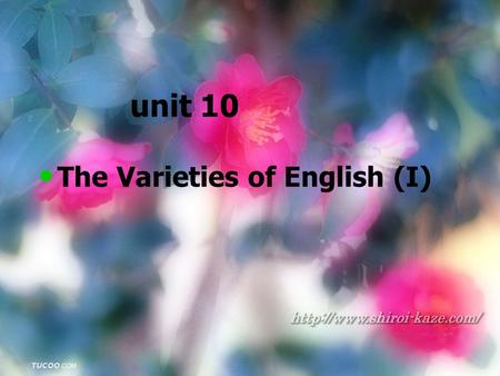 Unit 10 The Varieties of English (I).