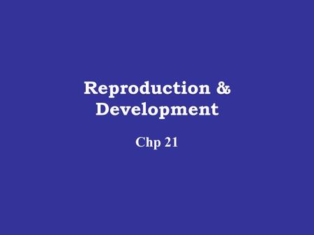 Reproduction & Development Chp 21. GAMETE FORMATION Meiotic division produces Haploid Gametes Egg Sperm.