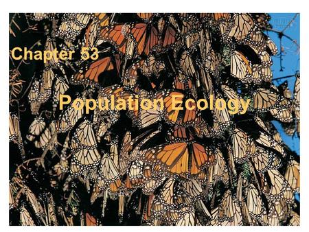 Chapter 53 Population Ecology.