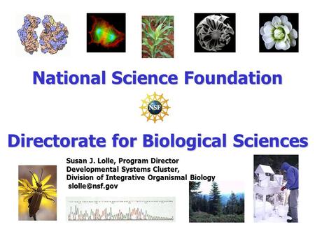 National Science Foundation Directorate for Biological Sciences Susan J. Lolle, Program Director Developmental Systems Cluster, Division of Integrative.