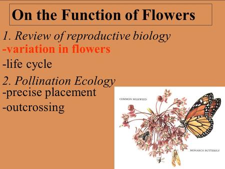 1. Review of reproductive biology 2. Pollination Ecology On the Function of Flowers -precise placement -outcrossing -variation in flowers -life cycle.