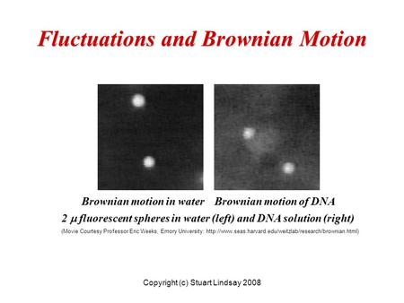 Fluctuations and Brownian Motion 2  fluorescent spheres in water (left) and DNA solution (right) (Movie Courtesy Professor Eric Weeks, Emory University: