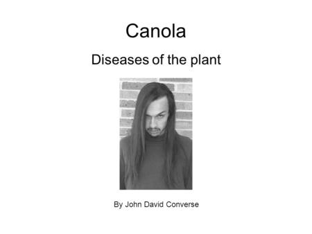 Canola Diseases of the plant By John David Converse.