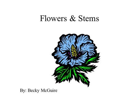 Flowers & Stems By: Becky McGuire. Flowers Contains four parts 1. sepals: protects opening bud and flower; supports petals 2. petals: colorful to attract.