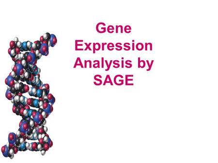 Gene Expression Analysis by SAGE. Gene Expression Some challenges: –Large number of genes How do you keep samples and equipment small and affordable?