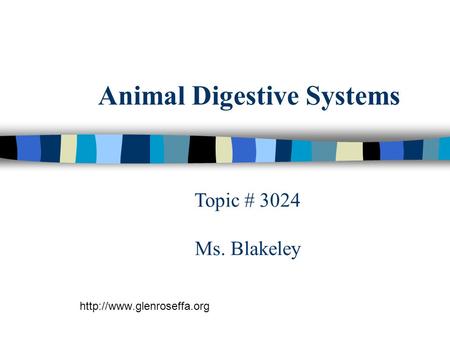 Animal Digestive Systems  Topic # 3024 Ms. Blakeley.
