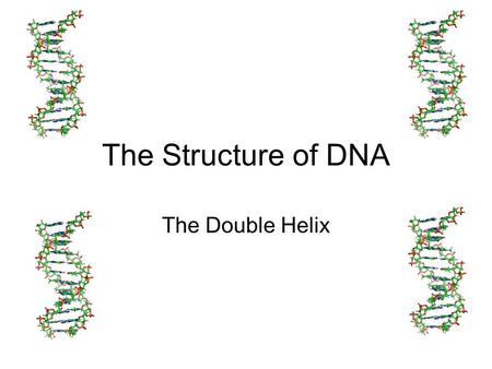 The Structure of DNA The Double Helix. DNA = Deoxyribonucleic acid DNA is made up of small sub units called Nucleotides A Nucleotide Has 3 major parts.
