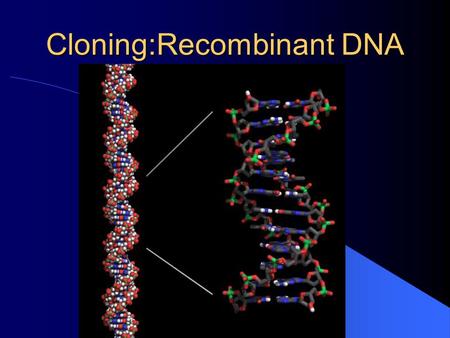 Cloning:Recombinant DNA
