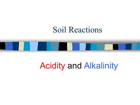 Soil Reactions Acidity and Alkalinity. n What is pH? n What is cation exchange capacity? n What are the applications in soil?