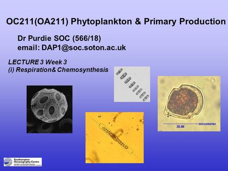 OC211(OA211) Phytoplankton & Primary Production Dr Purdie SOC (566/18)   LECTURE 3 Week 3 (i) Respiration& Chemosynthesis.