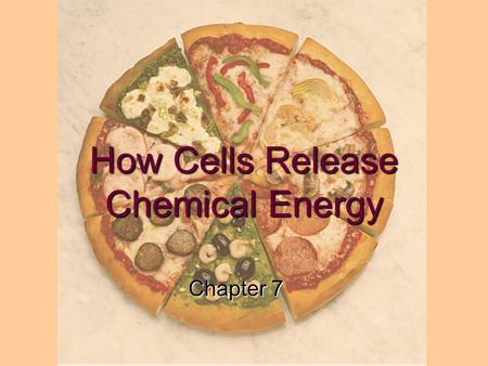 How Cells Release Chemical Energy Chapter 7. Learning Objectives: 1.What is the relationship between cellular respiration and breathing? 2.List the balanced.