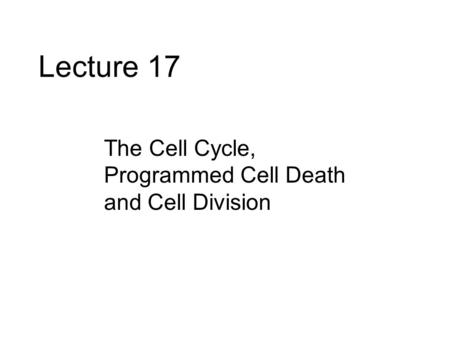 Lecture 17 The Cell Cycle, Programmed Cell Death and Cell Division.