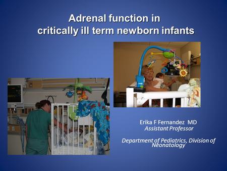 Erika F Fernandez MD Assistant Professor Department of Pediatrics, Division of Neonatology Adrenal function in critically ill term newborn infants.